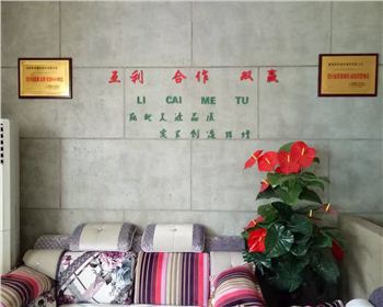 2017年成都麗彩美涂盛大開業(yè)